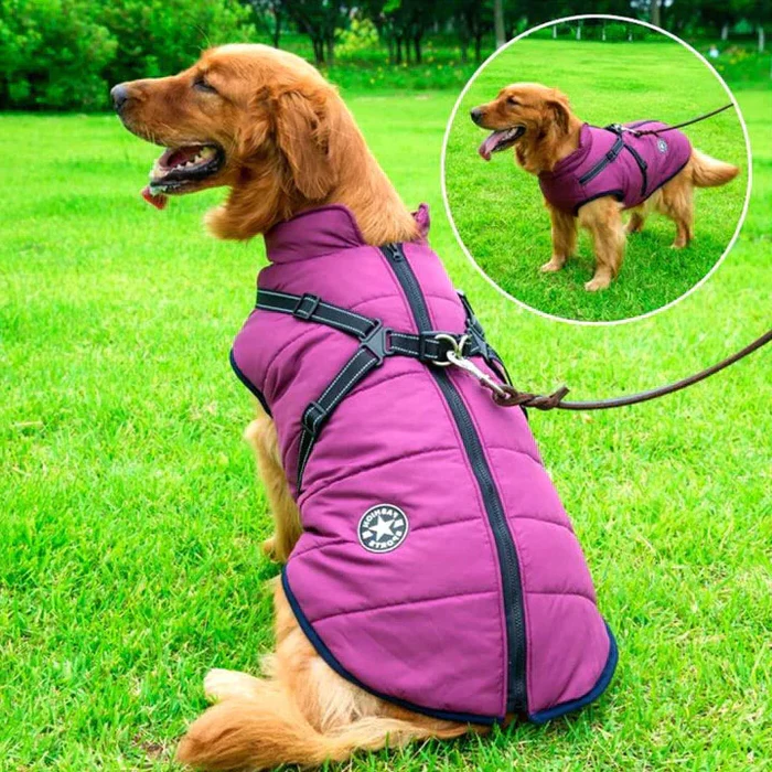 Waterproof Dog Winter Jacket with Sherpa Fleece Lining and Built in Harness for Cold Walks