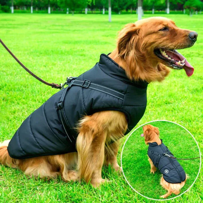 Waterproof Dog Winter Jacket with Sherpa Fleece Lining and Built in Harness for Cold Walks