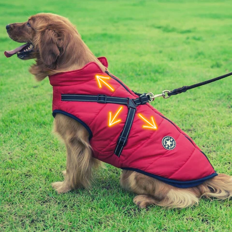 Waterproof Dog Winter Jacket with Sherpa Fleece Lining and Built in Harness for Cold Walks