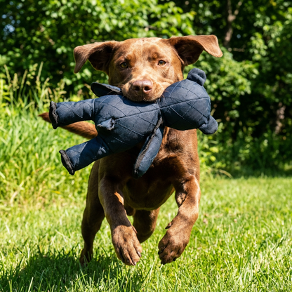 Bear Dog Toy with Squeaker and Reinforced Nylon Rubber, 8x10 Inches