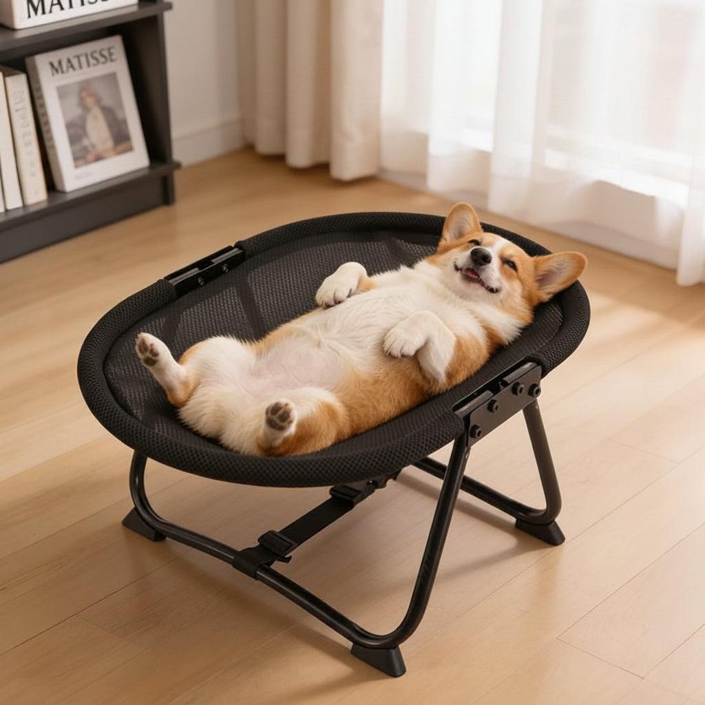 Foldable Elevated Pet Bed with Breathable Mesh and Iron Frame for Cats and Small Dogs