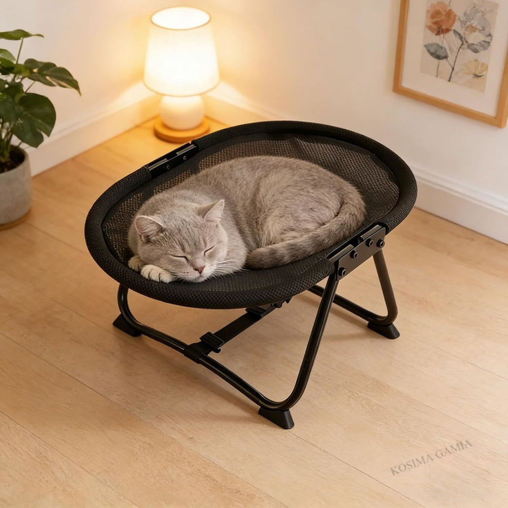 Foldable Elevated Pet Bed with Breathable Mesh and Iron Frame for Cats and Small Dogs