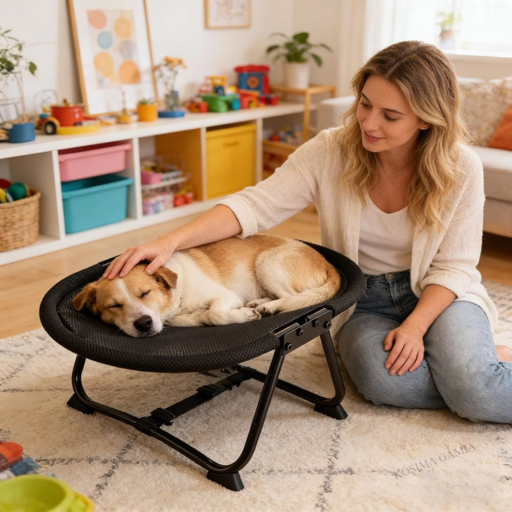 Foldable Elevated Pet Bed with Breathable Mesh and Iron Frame for Cats and Small Dogs
