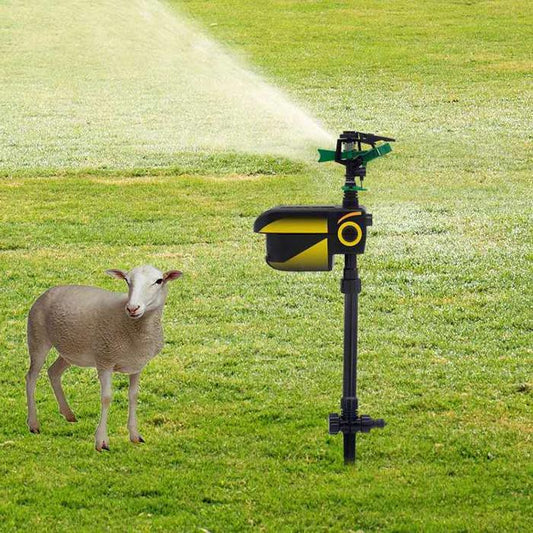Motion Activated Garden Sprinkler with Solar Power and Battery Backup