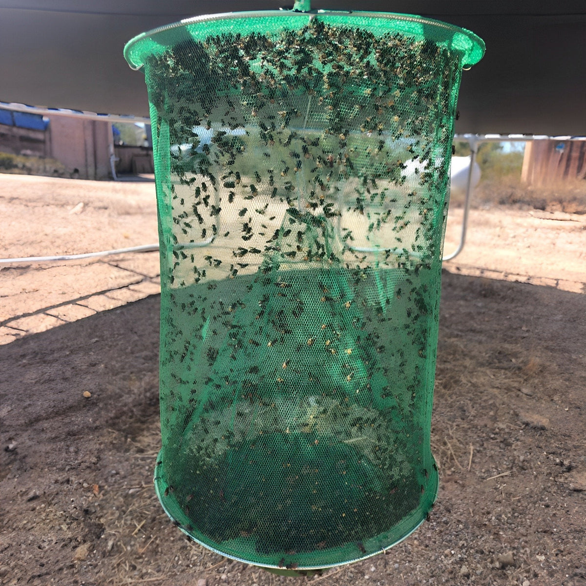 Expandable Fly Trap with Natural Bait and Funnel Entry System